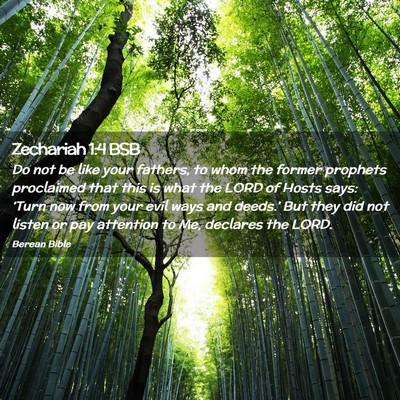 Picture 02 - Zechariah 1:4 BSB - Do not be like your fathers, to whom the former - Bible Verse Picture
