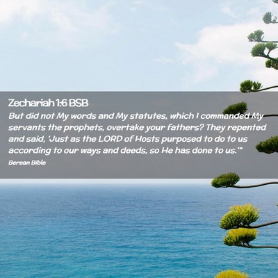 Picture 02 - Zechariah 1:6 BSB - But did not My words and My statutes, which I - Bible Verse Picture