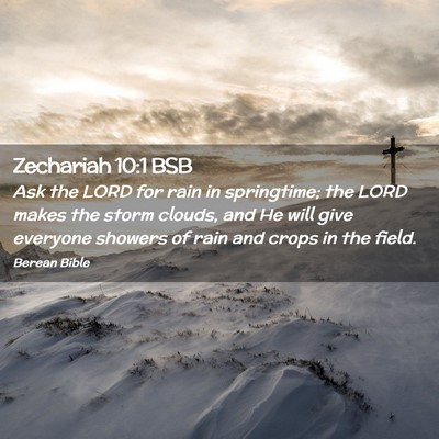 Picture 02 - Zechariah 10:1 BSB - Ask the LORD for rain in springtime; the LORD - Bible Verse Picture