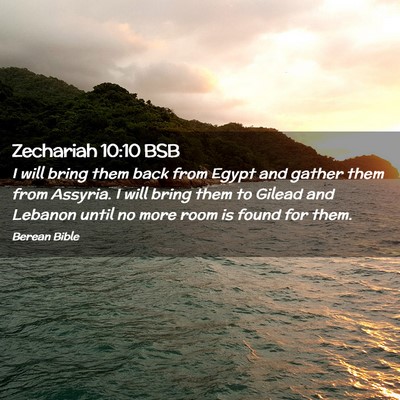 Picture 02 - Zechariah 10:10 BSB - I will bring them back from Egypt and gather them - Bible Verse Picture