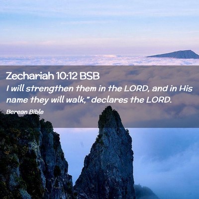 Picture 02 - Zechariah 10:12 BSB - I will strengthen them in the LORD, and in His - Bible Verse Picture