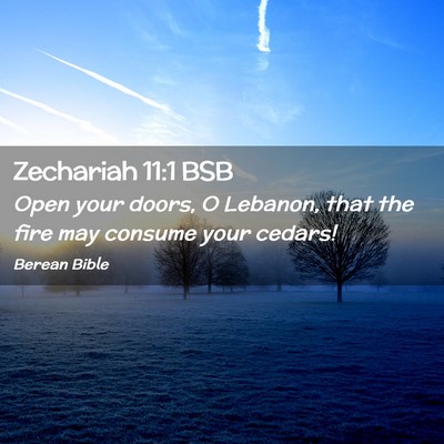 Picture 02 - Zechariah 11:1 BSB - Open your doors, O Lebanon, that the fire may - Bible Verse Picture