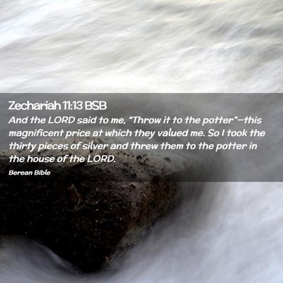 Picture 02 - Zechariah 11:13 BSB - And the LORD said to me, “Throw it to the - Bible Verse Picture