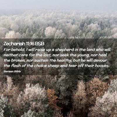 Picture 02 - Zechariah 11:16 BSB - For behold, I will raise up a shepherd in the - Bible Verse Picture