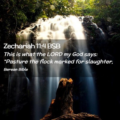 Picture 02 - Zechariah 11:4 BSB - This is what the LORD my God says: “Pasture the - Bible Verse Picture