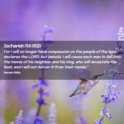 Picture 02 - Zechariah 11:6 BSB - For I will no longer have compassion on the - Bible Verse Picture