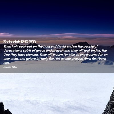 Picture 02 - Zechariah 12:10 BSB - Then I will pour out on the house of David and on - Bible Verse Picture