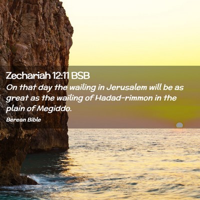 Picture 02 - Zechariah 12:11 BSB - On that day the wailing in Jerusalem will be as - Bible Verse Picture