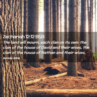 Picture 02 - Zechariah 12:12 BSB - The land will mourn, each clan on its own: the - Bible Verse Picture