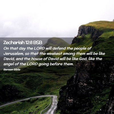Picture 02 - Zechariah 12:8 BSB - On that day the LORD will defend the people of - Bible Verse Picture