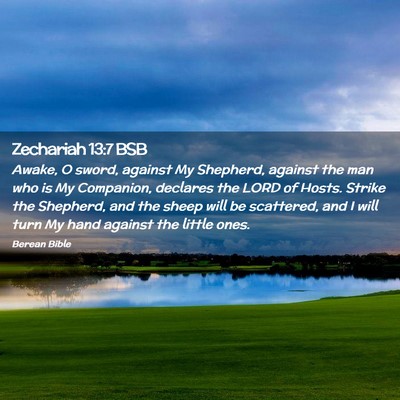Picture 02 - Zechariah 13:7 BSB - Awake, O sword, against My Shepherd, against the - Bible Verse Picture