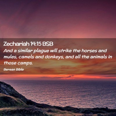 Picture 02 - Zechariah 14:15 BSB - And a similar plague will strike the horses and - Bible Verse Picture
