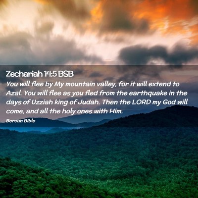 Picture 02 - Zechariah 14:5 BSB - You will flee by My mountain valley, for it will - Bible Verse Picture