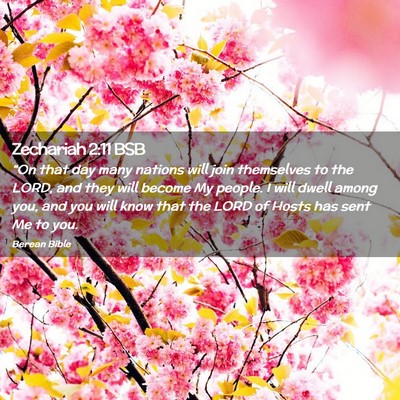 Picture 02 - Zechariah 2:11 BSB - “On that day many nations will join themselves - Bible Verse Picture