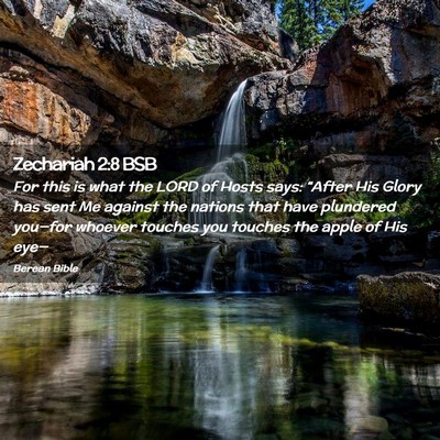Picture 02 - Zechariah 2:8 BSB - For this is what the LORD of Hosts says: “After - Bible Verse Picture