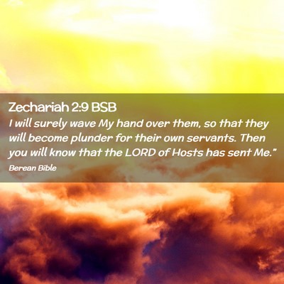 Picture 02 - Zechariah 2:9 BSB - I will surely wave My hand over them, so that - Bible Verse Picture