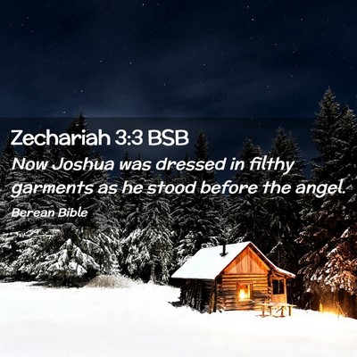Picture 02 - Zechariah 3:3 BSB - Now Joshua was dressed in filthy garments as he - Bible Verse Picture