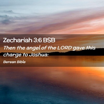 Picture 02 - Zechariah 3:6 BSB - Then the angel of the LORD gave this charge to - Bible Verse Picture