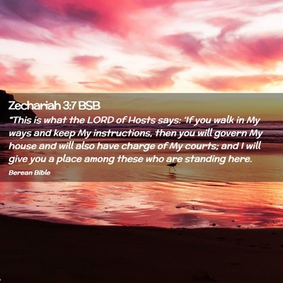 Picture 02 - Zechariah 3:7 BSB - “This is what the LORD of Hosts says: ‘If you - Bible Verse Picture
