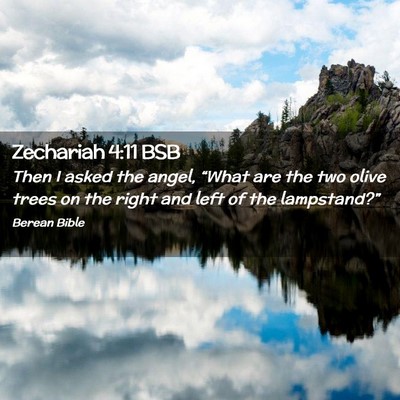 Picture 02 - Zechariah 4:11 BSB - Then I asked the angel, “What are the two olive - Bible Verse Picture