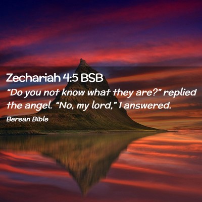 Picture 02 - Zechariah 4:5 BSB - “Do you not know what they are?” replied the - Bible Verse Picture