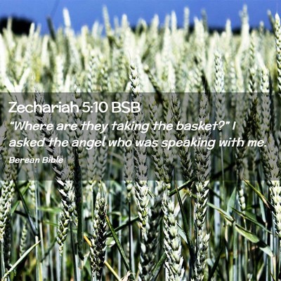 Picture 02 - Zechariah 5:10 BSB - “Where are they taking the basket?” I asked - Bible Verse Picture