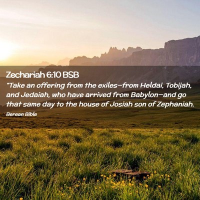 Picture 02 - Zechariah 6:10 BSB - “Take an offering from the exiles—from - Bible Verse Picture
