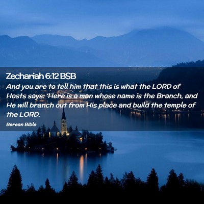 Picture 02 - Zechariah 6:12 BSB - And you are to tell him that this is what the - Bible Verse Picture