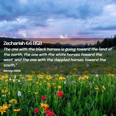 Picture 02 - Zechariah 6:6 BSB - The one with the black horses is going toward the - Bible Verse Picture