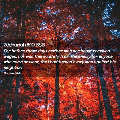 Picture 02 - Zechariah 8:10 BSB - For before those days neither man nor beast - Bible Verse Picture