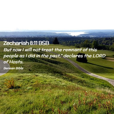 Picture 02 - Zechariah 8:11 BSB - But now I will not treat the remnant of this - Bible Verse Picture