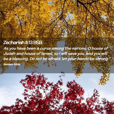 Picture 02 - Zechariah 8:13 BSB - As you have been a curse among the nations, O - Bible Verse Picture