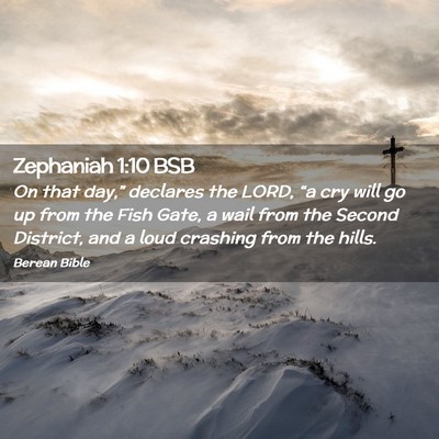 Picture 02 - Zephaniah 1:10 BSB - On that day,” declares the LORD, “a cry will - Bible Verse Picture