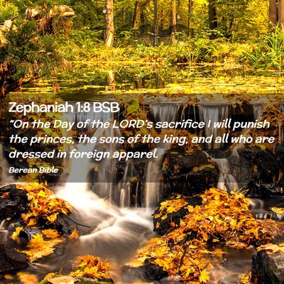 Picture 02 - Zephaniah 1:8 BSB - “On the Day of the LORD’s sacrifice I will - Bible Verse Picture