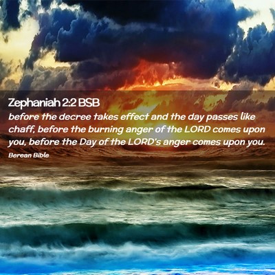Picture 02 - Zephaniah 2:2 BSB - before the decree takes effect and the day passes - Bible Verse Picture