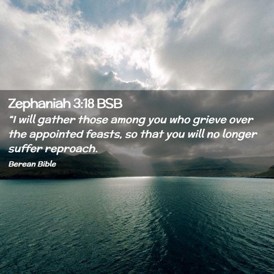 Picture 02 - Zephaniah 3:18 BSB - “I will gather those among you who grieve over - Bible Verse Picture