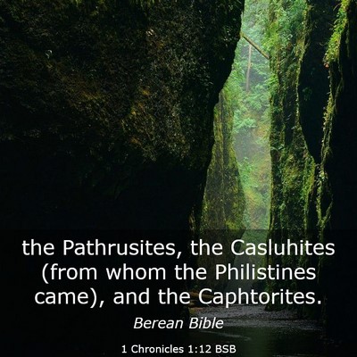 Picture 03 - 1 Chronicles 1:12 BSB - the Pathrusites, the Casluhites (from whom the - Bible Verse Picture