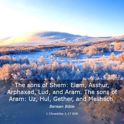 Picture 03 - 1 Chronicles 1:17 BSB - The sons of Shem: Elam, Asshur, Arphaxad, Lud, - Bible Verse Picture