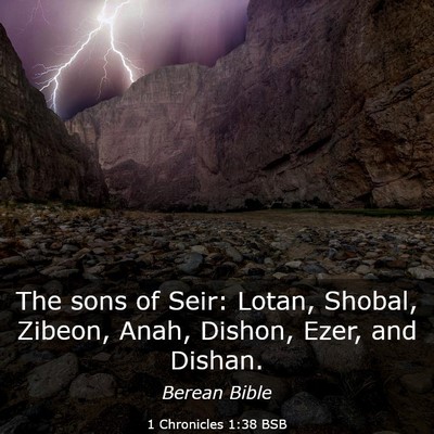 Picture 03 - 1 Chronicles 1:38 BSB - The sons of Seir: Lotan, Shobal, Zibeon, Anah, - Bible Verse Picture