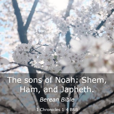 Picture 03 - 1 Chronicles 1:4 BSB - The sons of Noah: Shem, Ham, and - Bible Verse Picture
