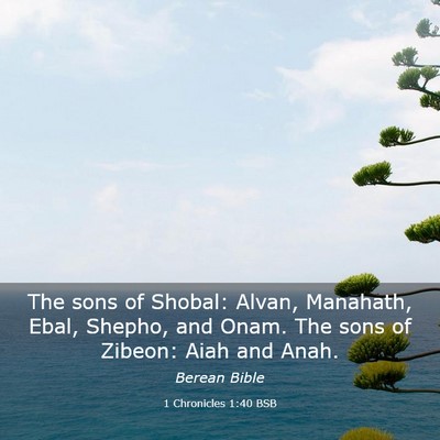 Picture 03 - 1 Chronicles 1:40 BSB - The sons of Shobal: Alvan, Manahath, Ebal, - Bible Verse Picture