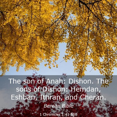 Picture 03 - 1 Chronicles 1:41 BSB - The son of Anah: Dishon. The sons of Dishon: - Bible Verse Picture