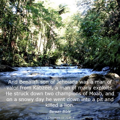 Picture 03 - 1 Chronicles 11:22 BSB - And Benaiah son of Jehoiada was a man of valor - Bible Verse Picture