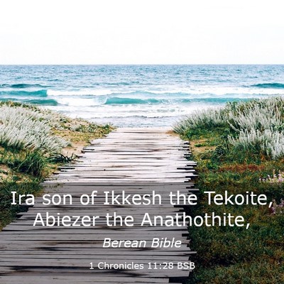 Picture 03 - 1 Chronicles 11:28 BSB - Ira son of Ikkesh the Tekoite, Abiezer the - Bible Verse Picture