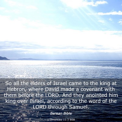 Picture 03 - 1 Chronicles 11:3 BSB - So all the elders of Israel came to the king at - Bible Verse Picture