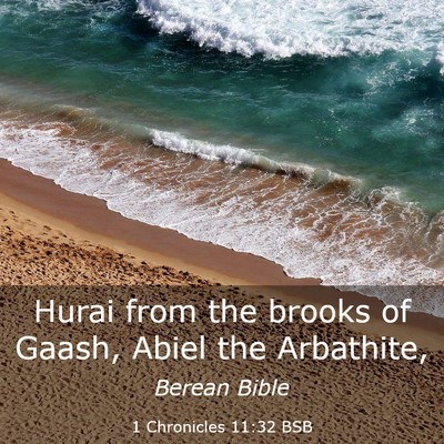 Picture 03 - 1 Chronicles 11:32 BSB - Hurai from the brooks of Gaash, Abiel the - Bible Verse Picture