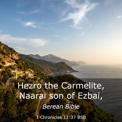 Picture 03 - 1 Chronicles 11:37 BSB - Hezro the Carmelite, Naarai son of - Bible Verse Picture