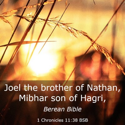 Picture 03 - 1 Chronicles 11:38 BSB - Joel the brother of Nathan, Mibhar son of - Bible Verse Picture