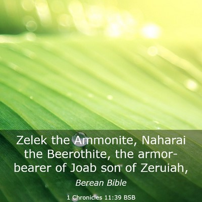 Picture 03 - 1 Chronicles 11:39 BSB - Zelek the Ammonite, Naharai the Beerothite, the - Bible Verse Picture