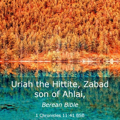 Picture 03 - 1 Chronicles 11:41 BSB - Uriah the Hittite, Zabad son of - Bible Verse Picture